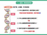 人教版生物八年级下册 7.2.2《基因在亲子代间的传递》课件+视频