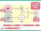 人教版生物八年级下册 7.2.3《基因的显性和隐性》课件+视频