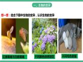 人教版生物八年级下册 7.2.5《生物的变异》课件+视频