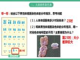 人教版生物八年级下册7.2.4《人的性别遗传》课件+视频