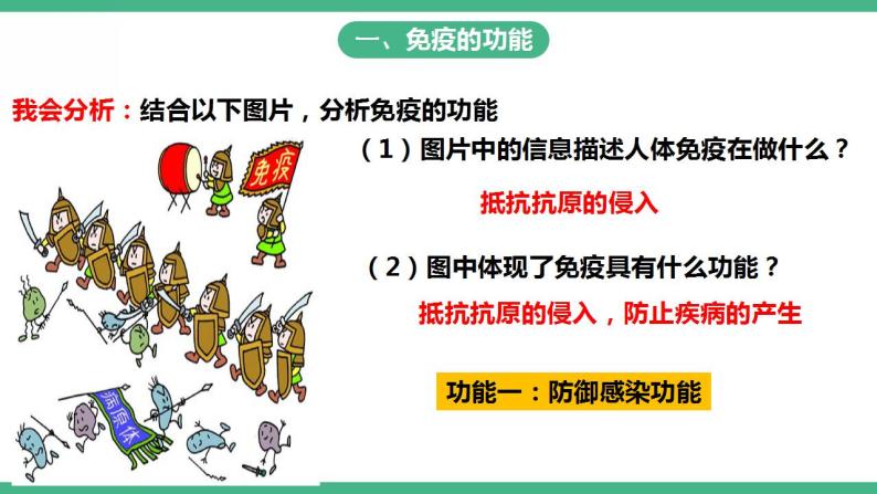 人教版生物八年级下册8.1.2《免疫与计划免疫》（第2课时）课件+视频03