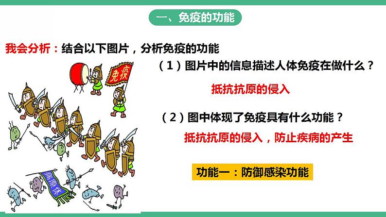 人教版生物八年级下册8.1.2《免疫与计划免疫》（第2课时）课件视频第3页