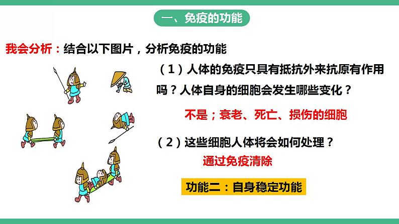 人教版生物八年级下册8.1.2《免疫与计划免疫》（第2课时）课件视频第4页
