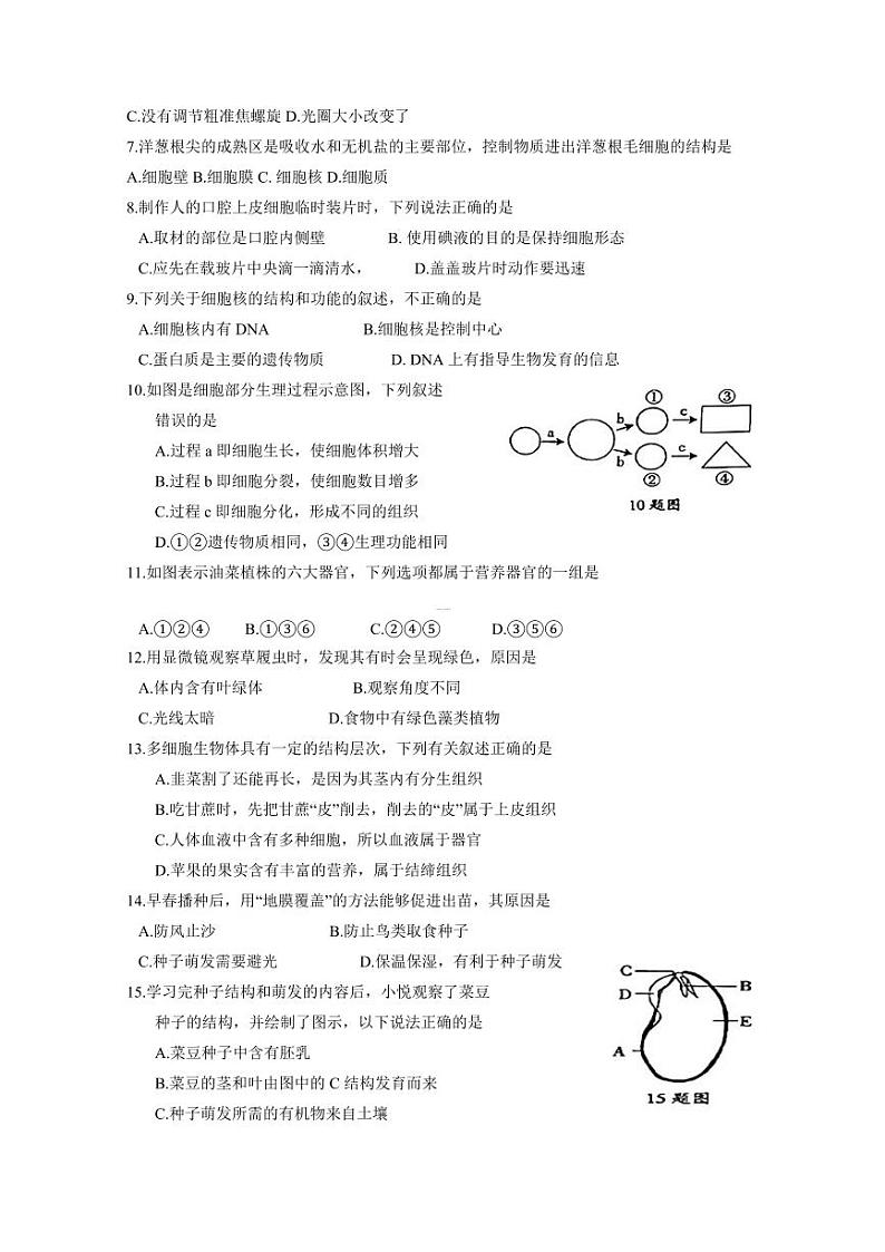 河南省周口市淮阳区2023-2024学年七年级上学期12月月考生物模拟试题（含答案）02