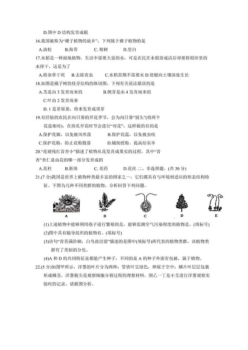 河南省周口市淮阳区2023-2024学年七年级上学期12月月考生物模拟试题（含答案）03