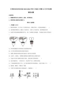 江西省吉安市吉安县2023-2024学年八年级上学期12月月考生物模拟试题（含答案）