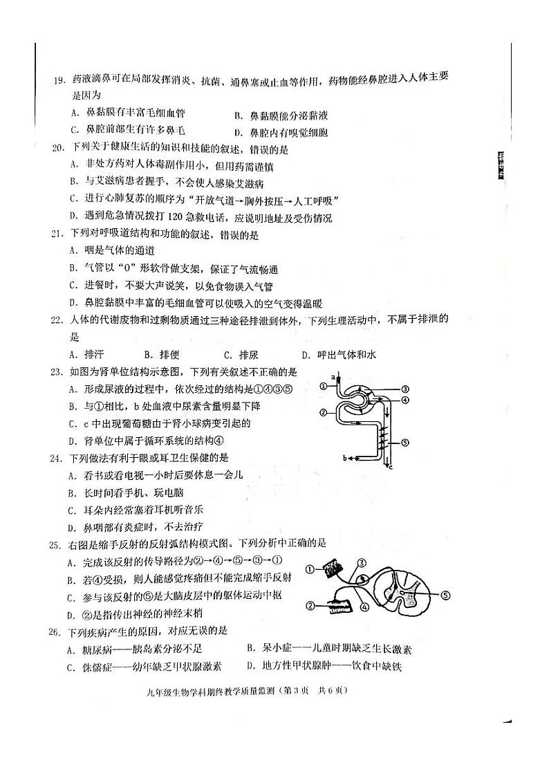 广东省普宁市2023-2024学年九年级上学期期末教学质量监测生物科试题卷03