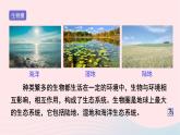 第1單元認識生命單元復(fù)習課件（北師大版七上生物）