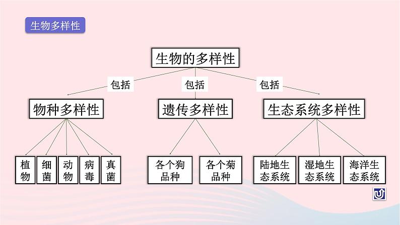 第1单元认识生命单元复习课件（北师大版七上生物）04