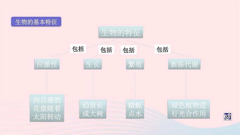 第1单元认识生命单元复习课件（北师大版七上生物）05