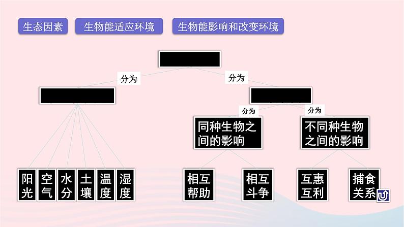 第1单元认识生命单元复习课件（北师大版七上生物）06