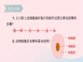 第2单元生物体的结构第3章细胞第1节细胞的基本结构和功能第2课时植物细胞动物细胞结构的比较课件（北师大版七上生物）