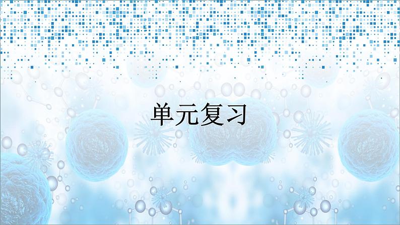 第2单元生物体的结构单元复习课件（北师大版七上生物）第1页