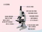 第2单元生物体的结构单元复习课件（北师大版七上生物）