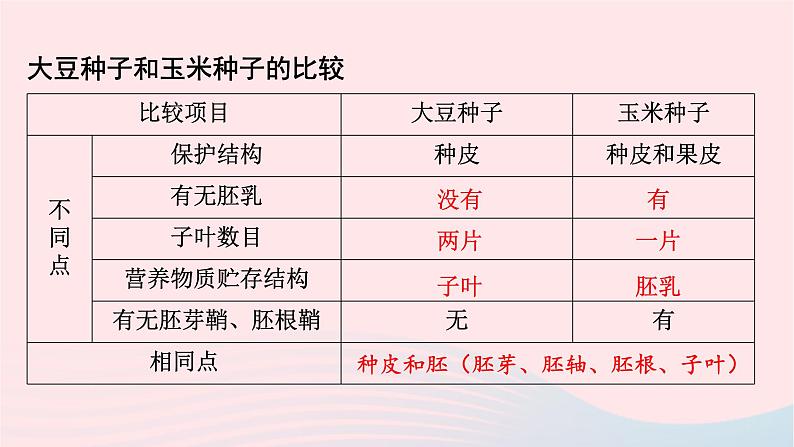 第3单元生物圈中的绿色植物第6章绿色开花植物的生活史第1节种子萌发形成幼苗课件（北师大版七上生物）08