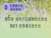 第3单元生物圈中的绿色植物第6章绿色开花植物的生活史第2节营养器官的生长课件（北师大版七上生物）