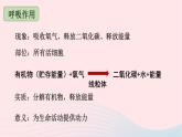 第3單元生物圈中的綠色植物單元復(fù)習(xí)課件（北師大版七上生物）