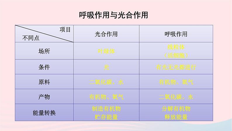 第3单元生物圈中的绿色植物单元复习课件（北师大版七上生物）第8页