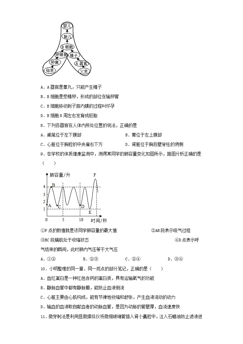 2023年湖北宜昌中考生物真题及答案第3页