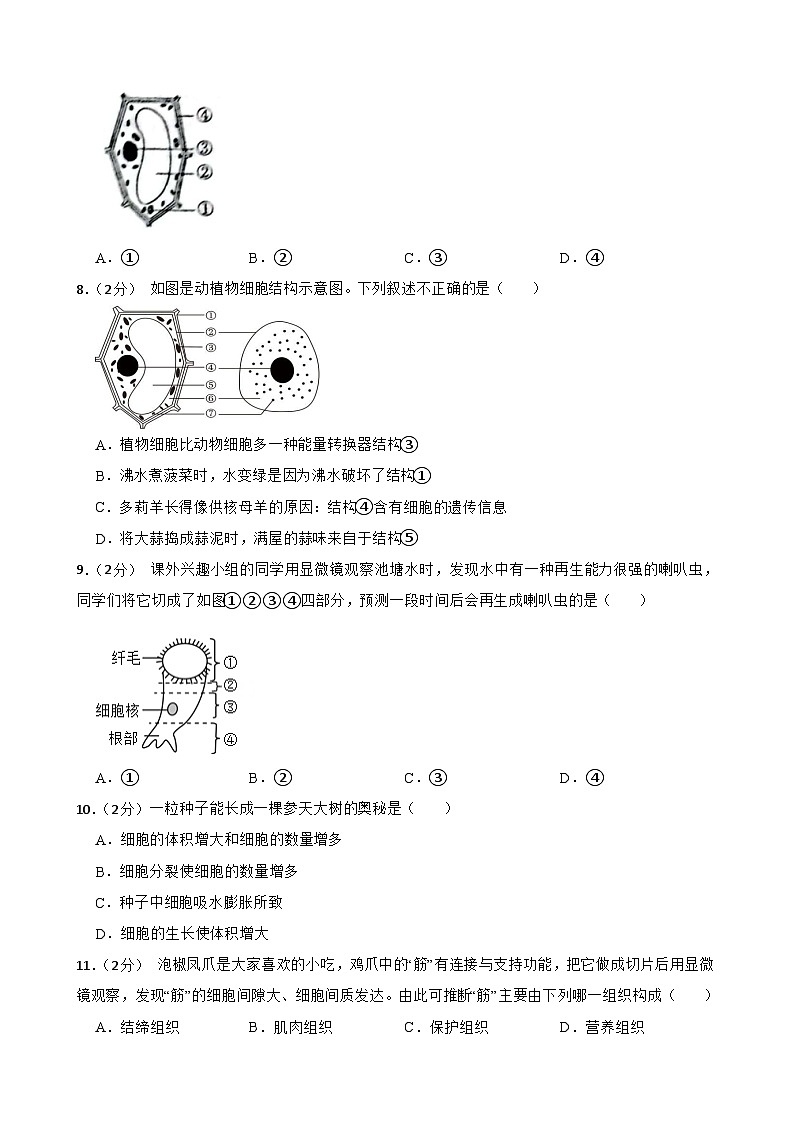 甘肃省武威十六中学教研联片2023-2024学年七年级上学期1月期末生物试题02