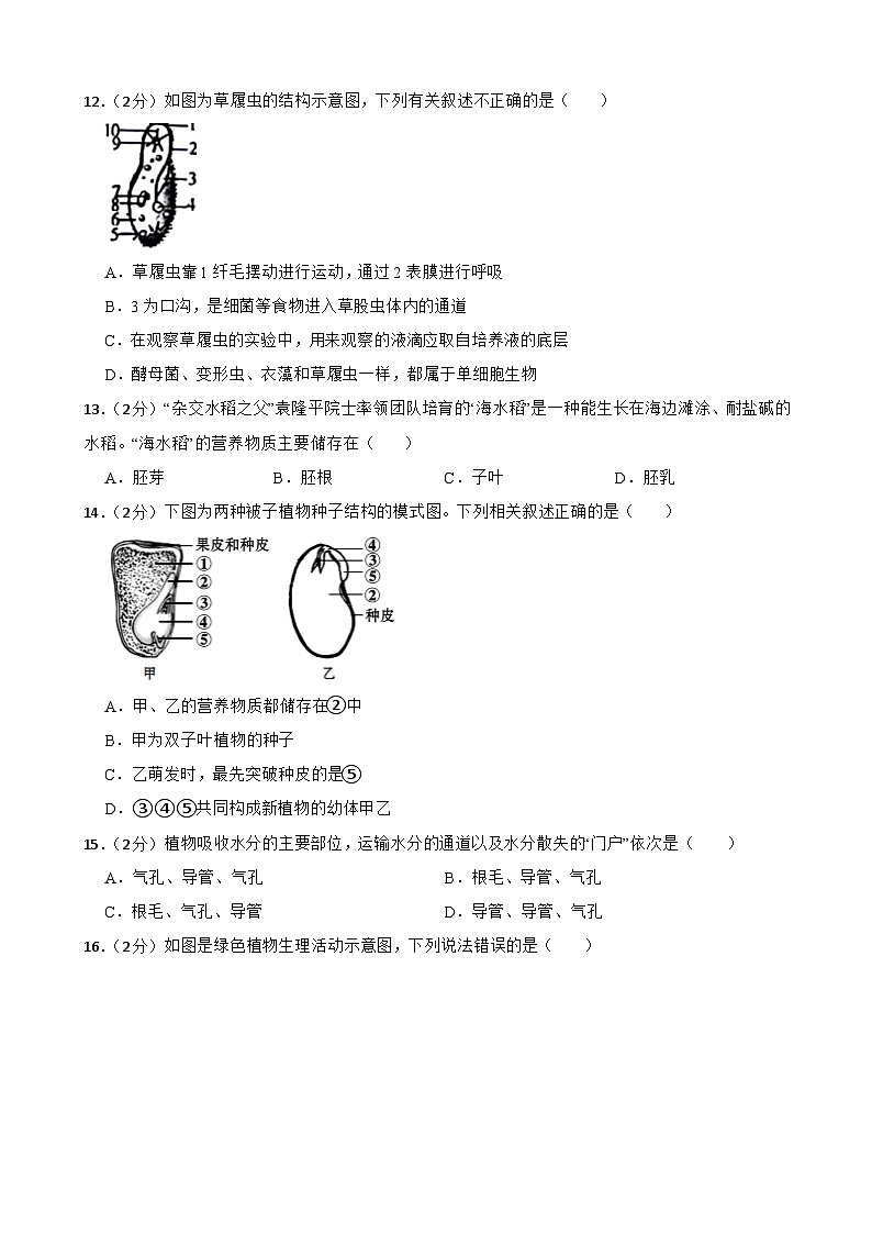甘肃省武威十六中学教研联片2023-2024学年七年级上学期1月期末生物试题03