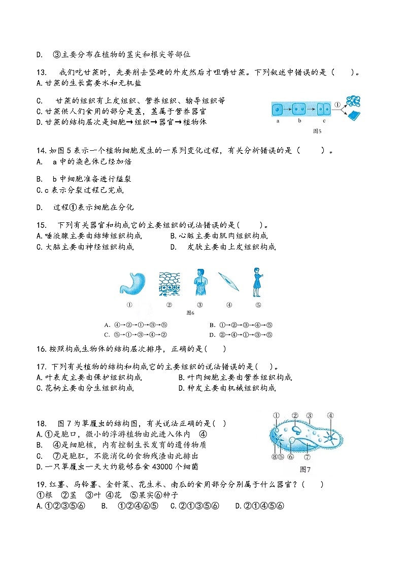 七年级上册生物期末综合复习题及答案03