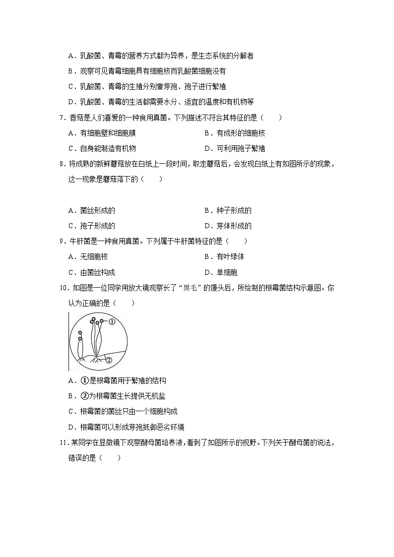 【寒假作业】2023-2024学年人教版 初中生物 八年级 寒假培优训练（七）（含解析）第2页