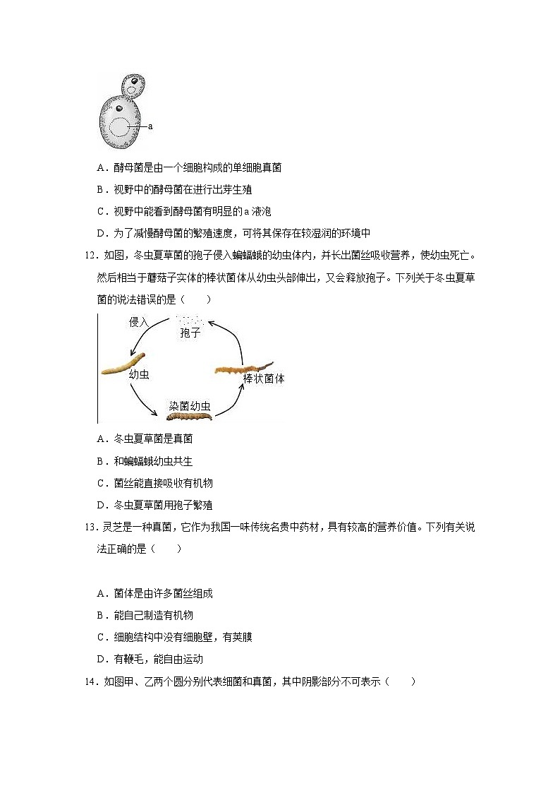 【寒假作业】2023-2024学年人教版 初中生物 八年级 寒假培优训练（七）（含解析）第3页