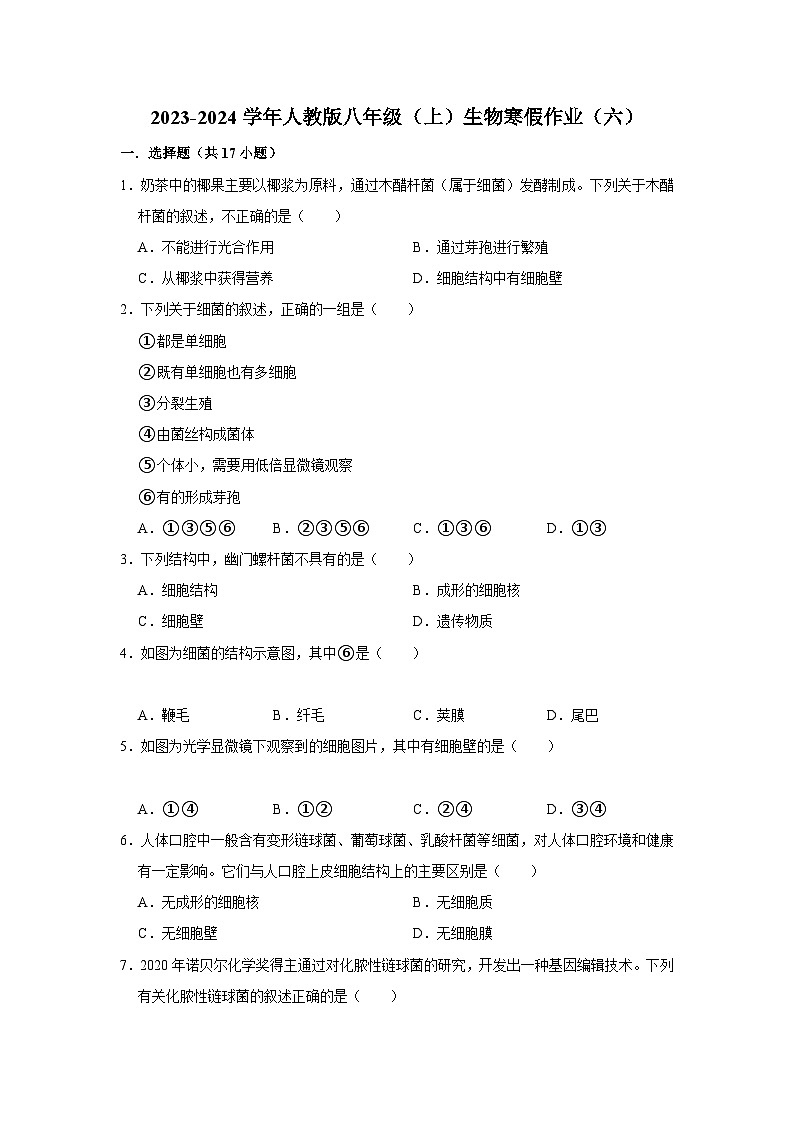 【寒假作业】2023-2024学年人教版 初中生物 八年级 寒假培优训练（六）（含解析）第1页
