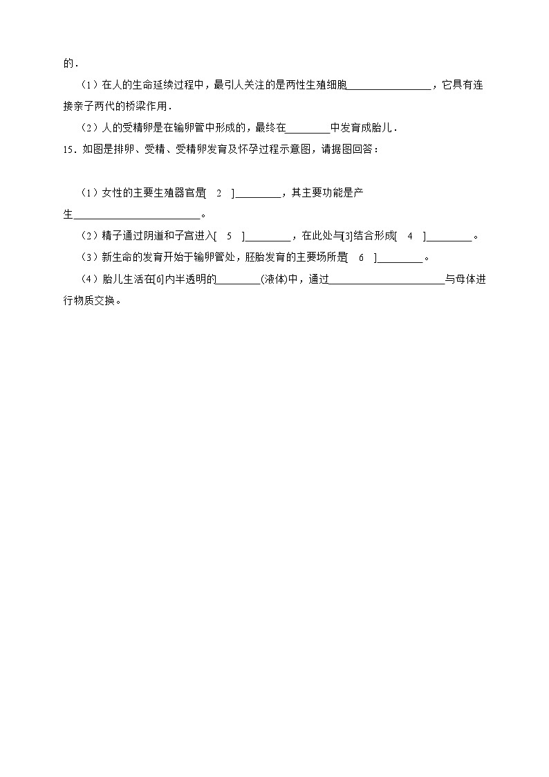 【寒假预习作业】人教版 初中生物 七年级 4.1.2人的生殖 （含解析）-练习03