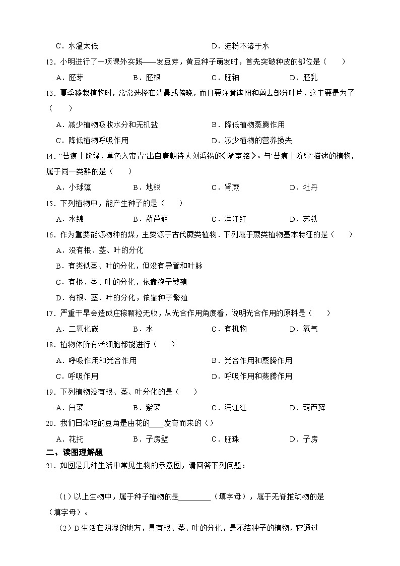 【寒假预习作业】人教版 初中生物 七年级 第三单元　生物圈中的绿色植物（含解析）-练习02