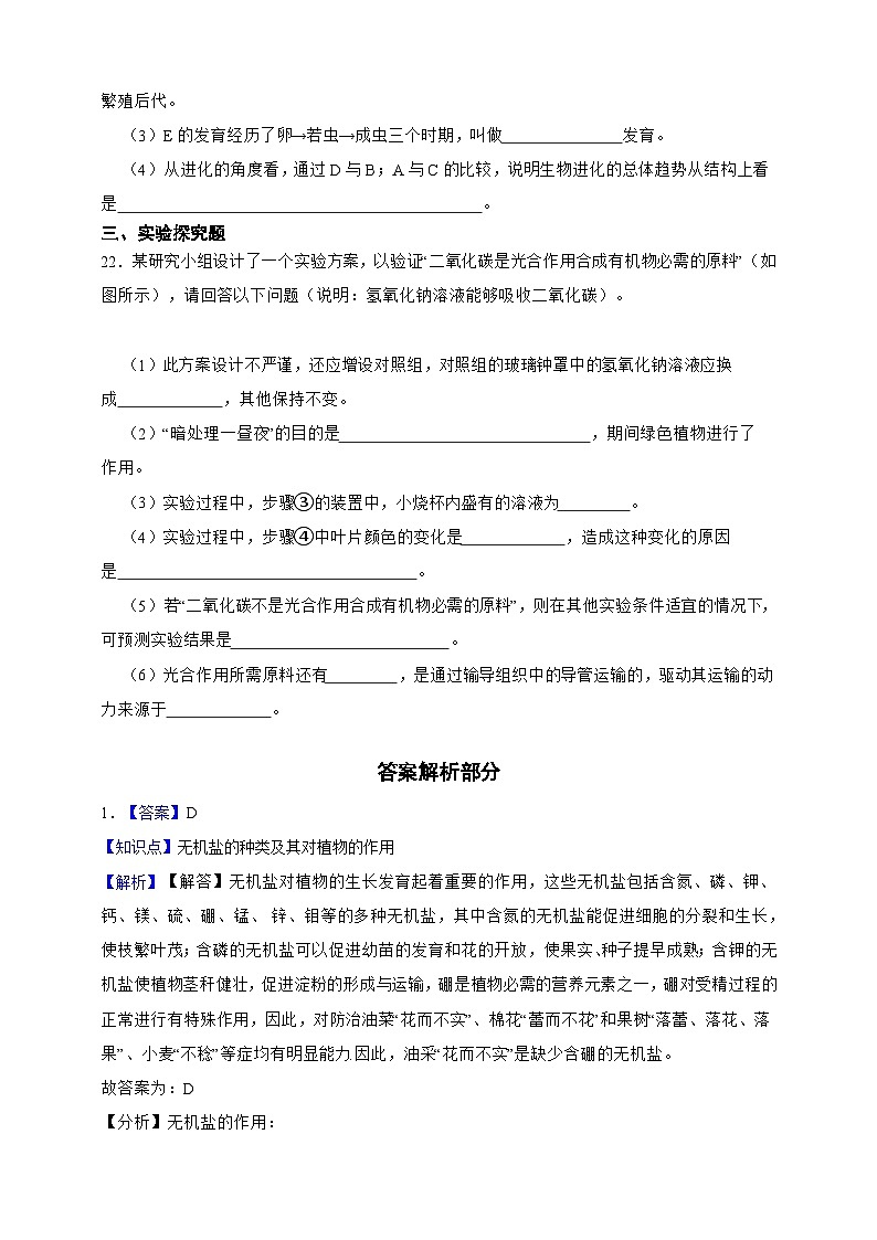 【寒假预习作业】人教版 初中生物 七年级 第三单元　生物圈中的绿色植物（含解析）-练习03