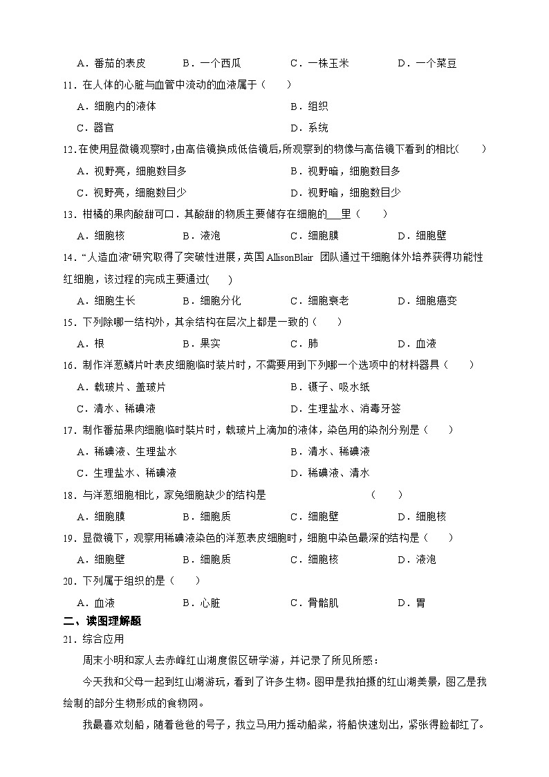 【寒假预习作业】人教版 初中生物 七年级 第二单元　生物体的结构层次（含解析）-练习02