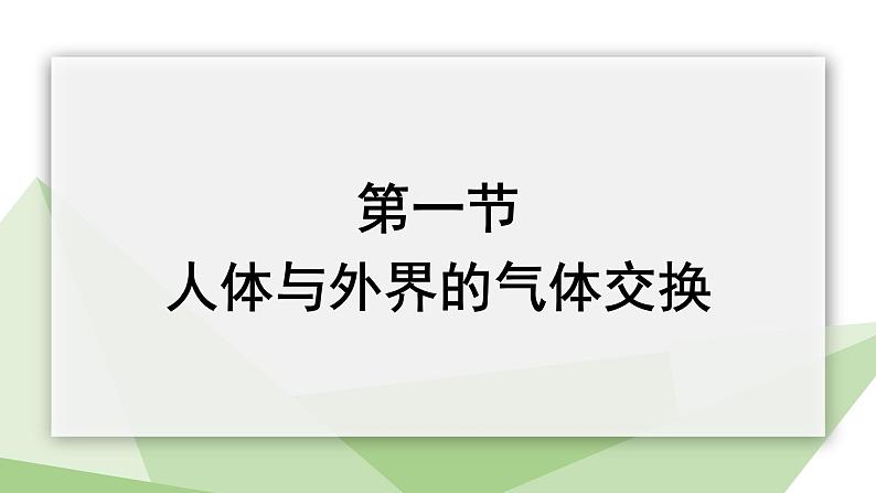 3.2.1 人体与外界的气体交换 课件2023-2024学年初中生物济南版七年级下册02