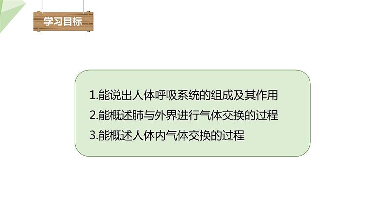 3.2.1 人体与外界的气体交换 课件2023-2024学年初中生物济南版七年级下册03