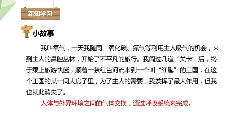 3.2.1 人体与外界的气体交换 课件2023-2024学年初中生物济南版七年级下册04