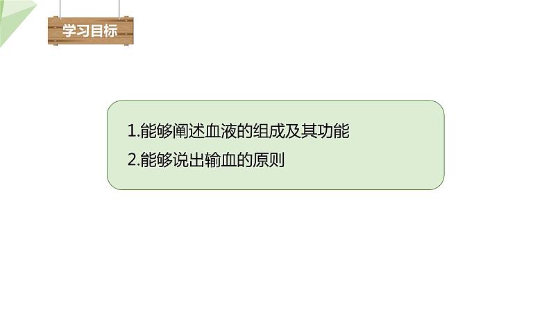 3.3.1 物质运输的载体 课件2023-2024学年初中生物济南版七年级下册03