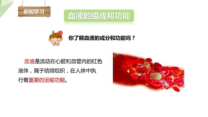 3.3.1 物质运输的载体 课件2023-2024学年初中生物济南版七年级下册04