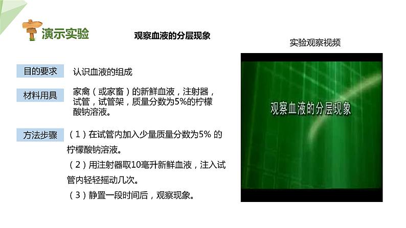 3.3.1 物质运输的载体 课件2023-2024学年初中生物济南版七年级下册05
