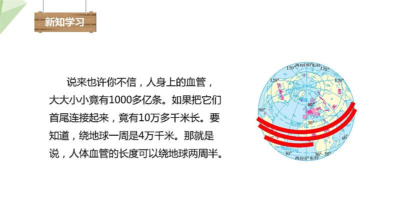 3.3.2 物质运输的器官 课件2023-2024学年初中生物济南版七年级下册03