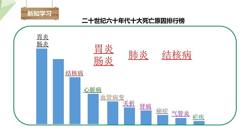 3.3.4 关注心血管健康 课件2023-2024学年初中生物济南版七年级下册03