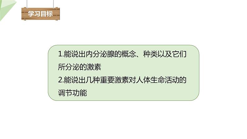 3.5.1 人体的激素调节 课件2023-2024学年初中生物济南版七年级下册02