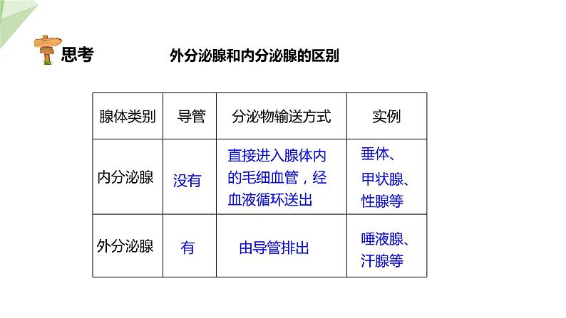 3.5.1 人体的激素调节 课件2023-2024学年初中生物济南版七年级下册05