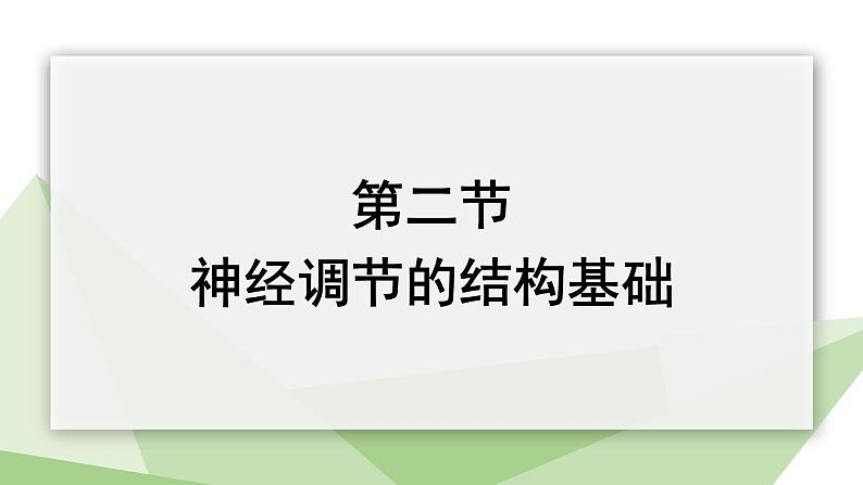 3.5.2 神经调节的结构基础 课件2023-2024学年初中生物济南版七年级下册02