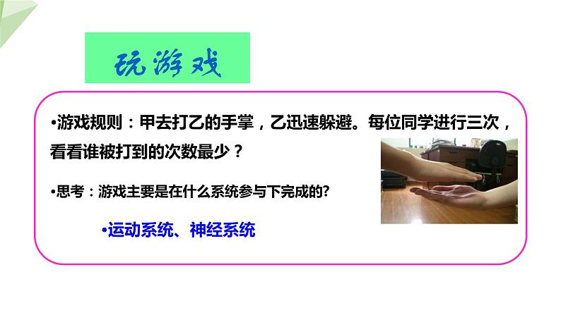 3.5.3 神经调节的基本方式 课件2023-2024学年初中生物济南版七年级下册01