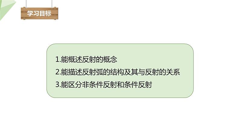 3.5.3 神经调节的基本方式 课件2023-2024学年初中生物济南版七年级下册03