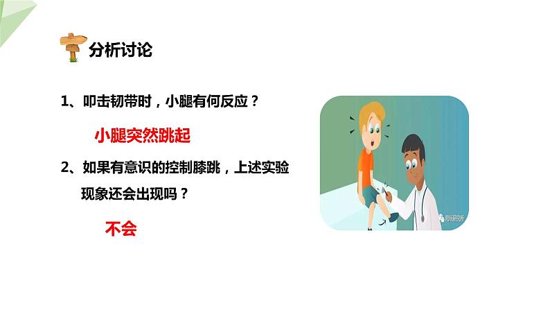 3.5.3 神经调节的基本方式 课件2023-2024学年初中生物济南版七年级下册05