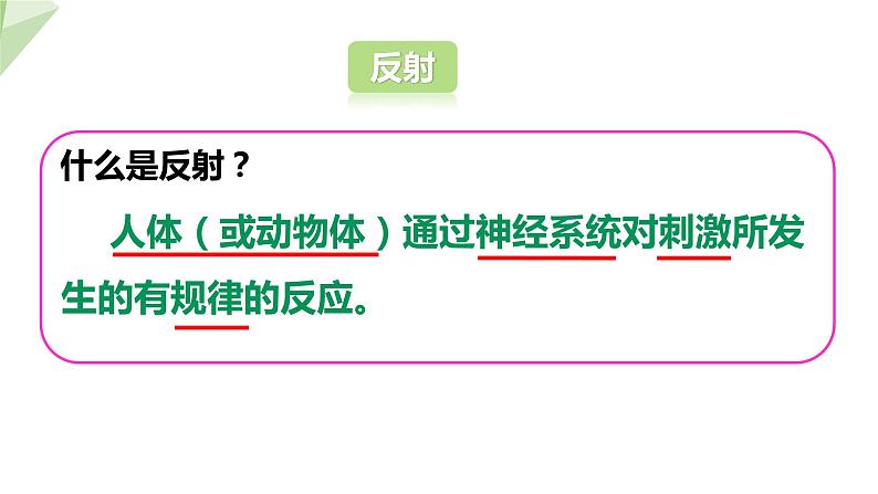 3.5.3 神经调节的基本方式 课件2023-2024学年初中生物济南版七年级下册06