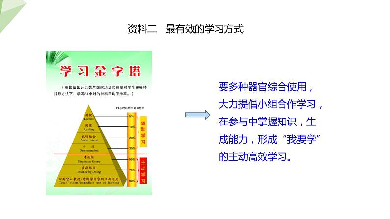 3.5.5 神经系统的卫生保健 课件2023-2024学年初中生物济南版七年级下册05