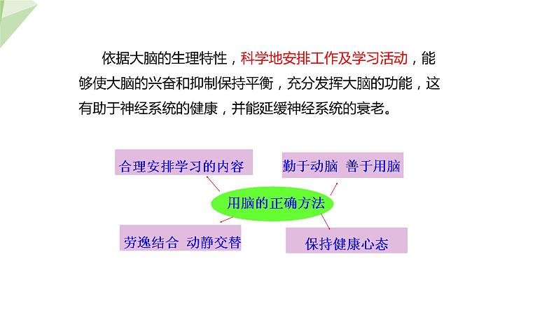 3.5.5 神经系统的卫生保健 课件2023-2024学年初中生物济南版七年级下册06